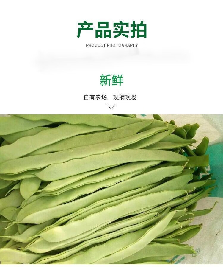 f32616d1811ab33e.jpg