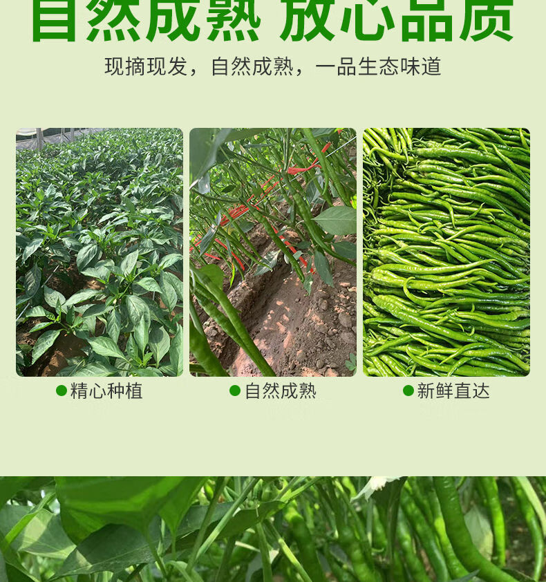 a58a504b0ca02004.jpg
