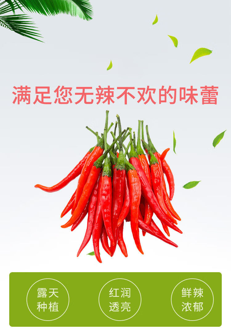 b633c503766862ee.jpg