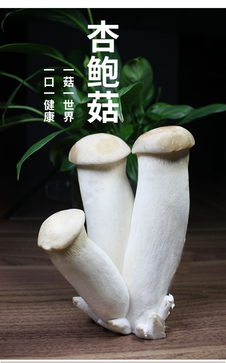 4688ad865a802171.jpg