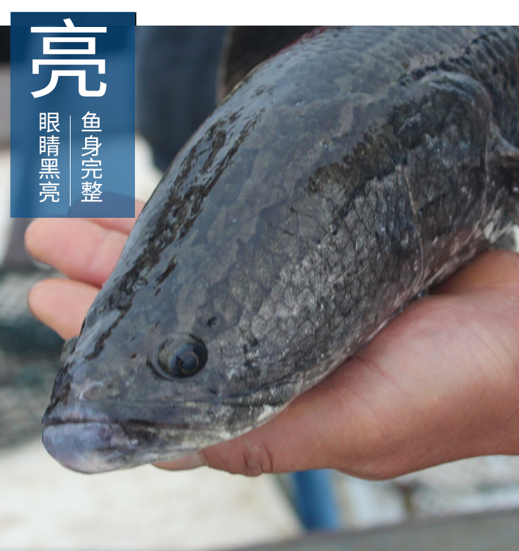 5c1ca06adf7128a2.jpg