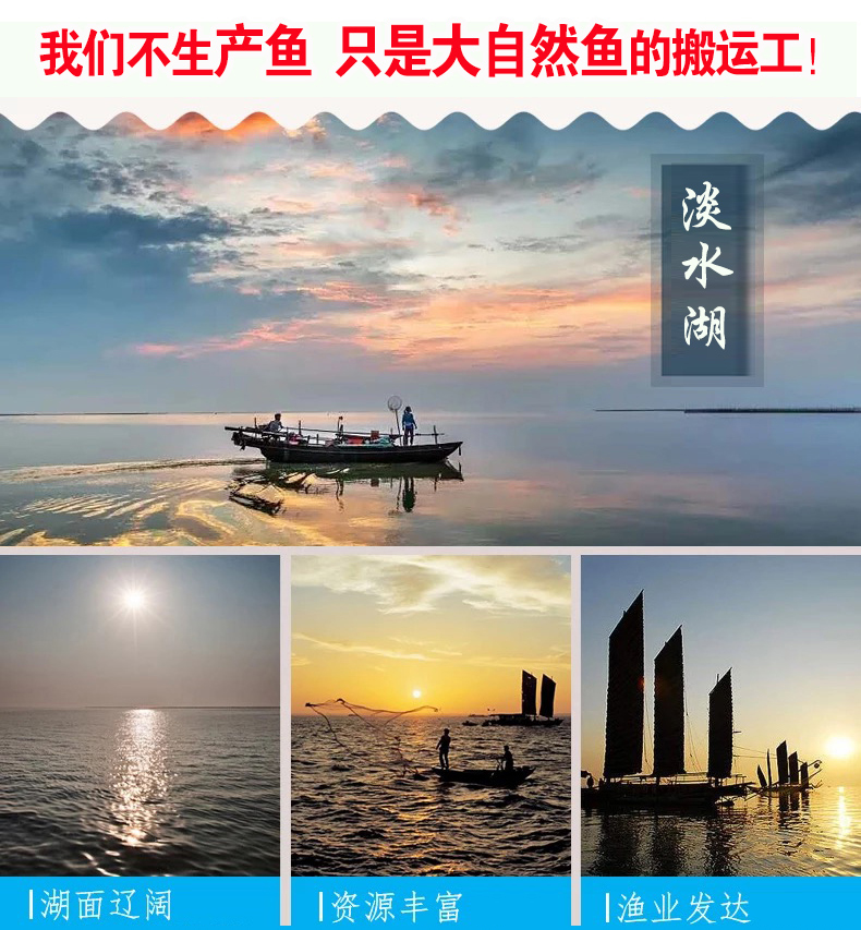 f0bc34df8004adf9.jpg