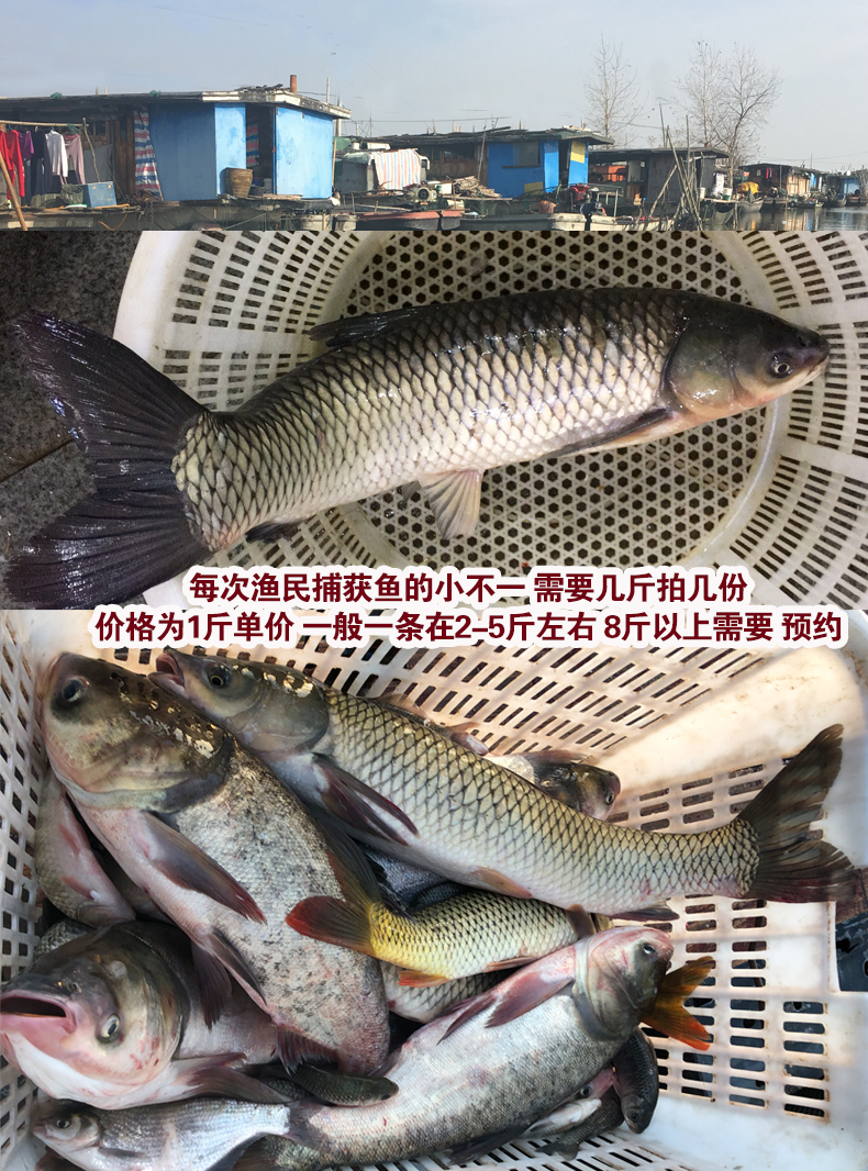 48b4411dd85cf098.jpg