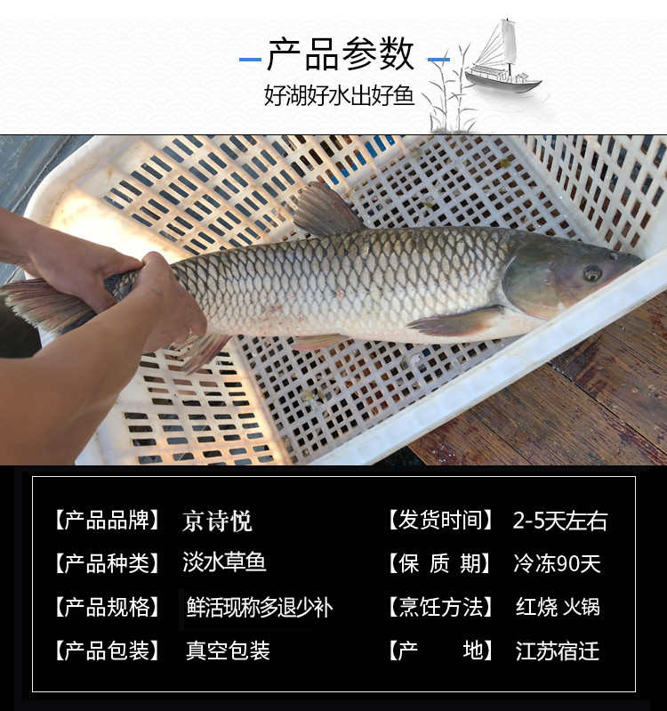 48b29a214cbf0d99.jpg