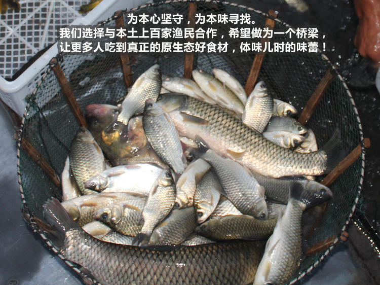 e9b6f1bc2d266764.jpg