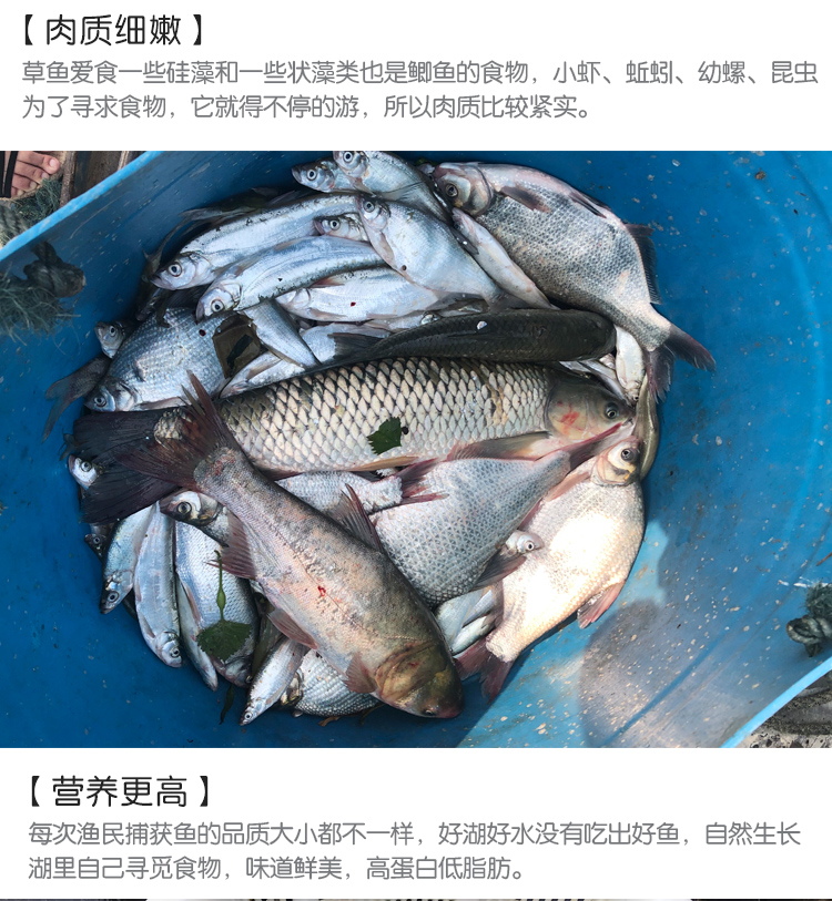 46b2da52161acb41.jpg