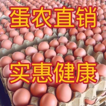鸡蛋新鲜红壳鸡蛋农家新鲜土鸡蛋现捡普通鸡蛋